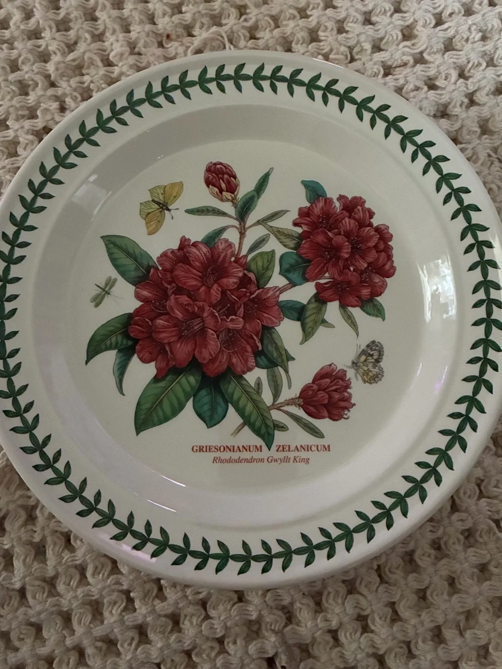 Portmeirion Botanic Garden Rhododendron Dinner Plate 10.5